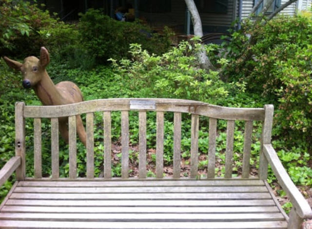 Oaklawn Garden, United States